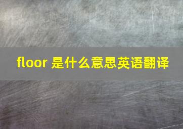 floor 是什么意思英语翻译